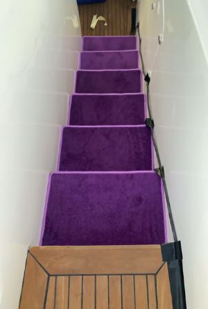 Purple color carpet in dubai