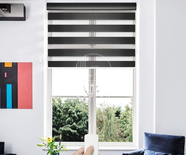 Window zebra blinds