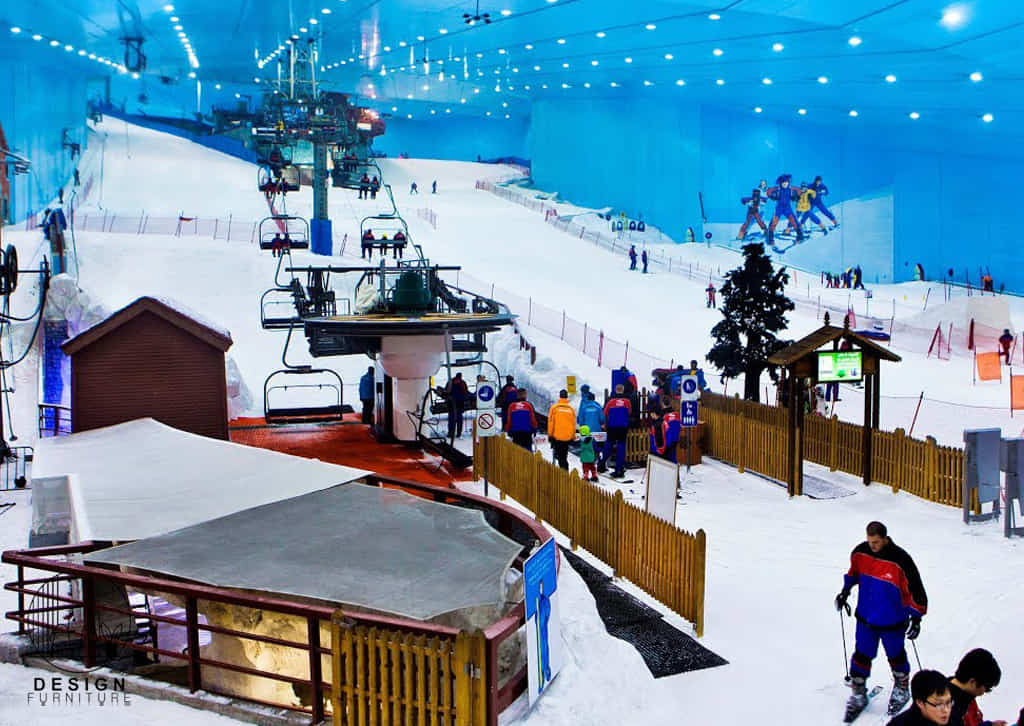 Skiing Area