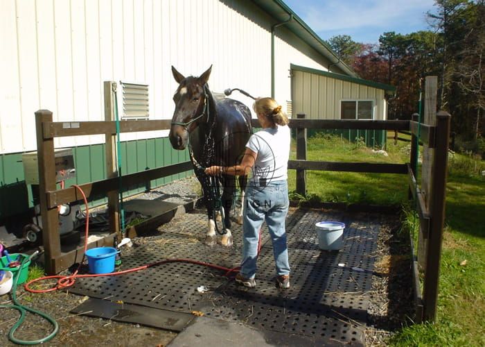 Horse stall mats (5)