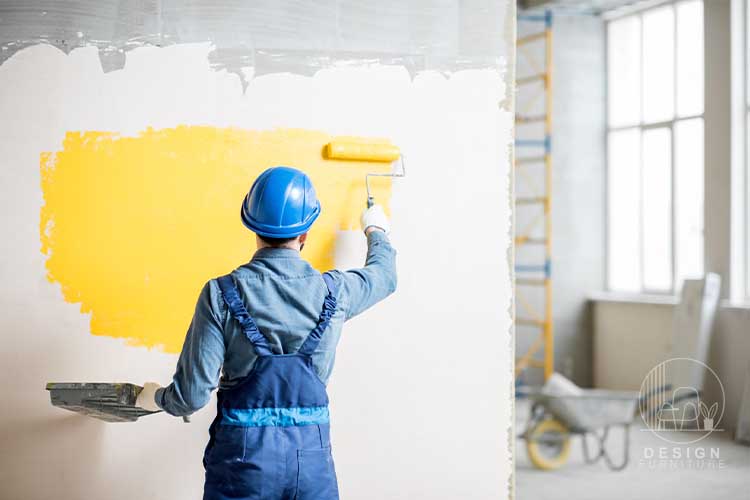 Professional Wall Painter