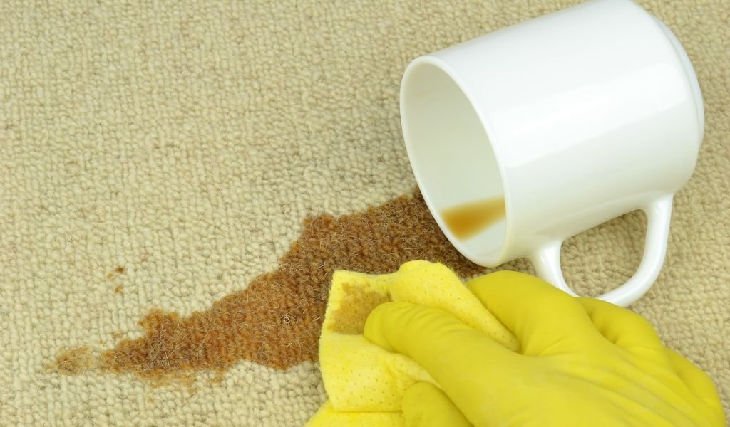 Remove Coffee Stains From Carpet