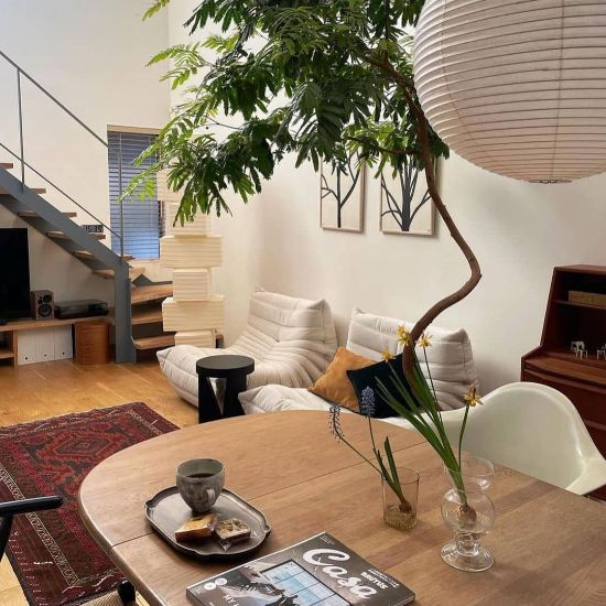 apartment interior with indoor plants