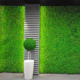 Wall Artificial Grass in Dubai