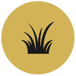 artificial-grass icons