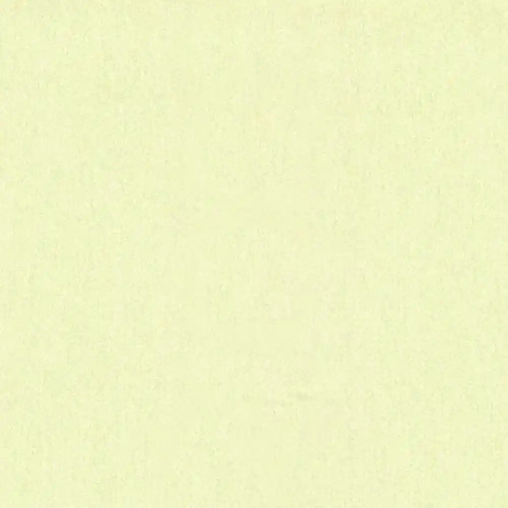 Pale Pistachio Eyelet