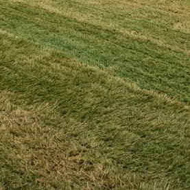 Green-Brown Blend Artificial Grass