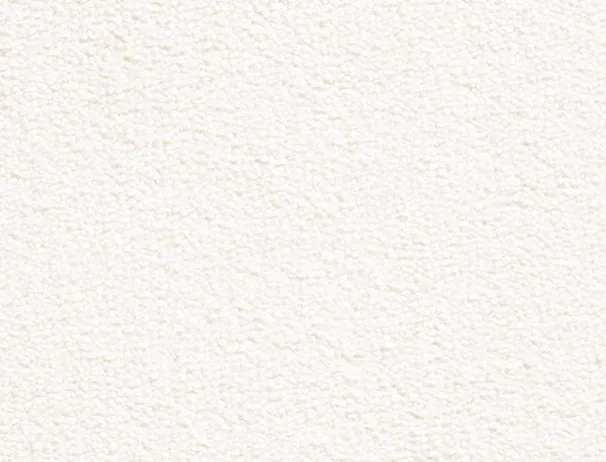 Pure Ivory Carpet