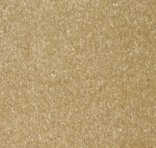 Champagne Beige Carpet