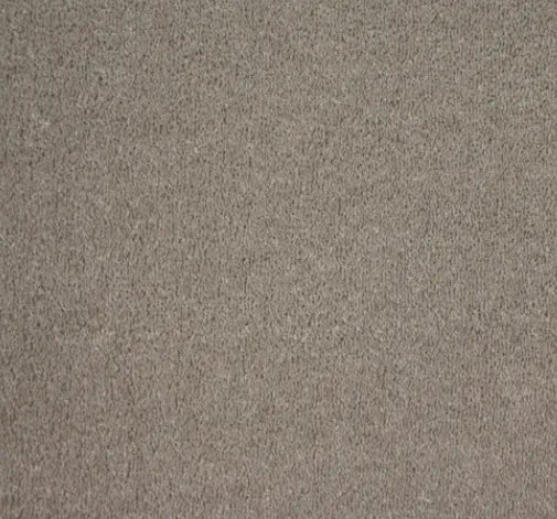 Driftwood Grey Carpet
