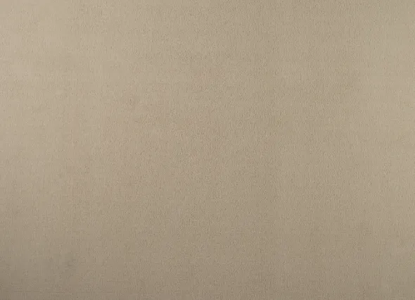 Soft Greige Carpet