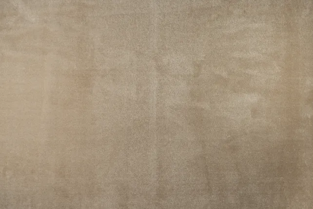 Sandy Taupe Carpet