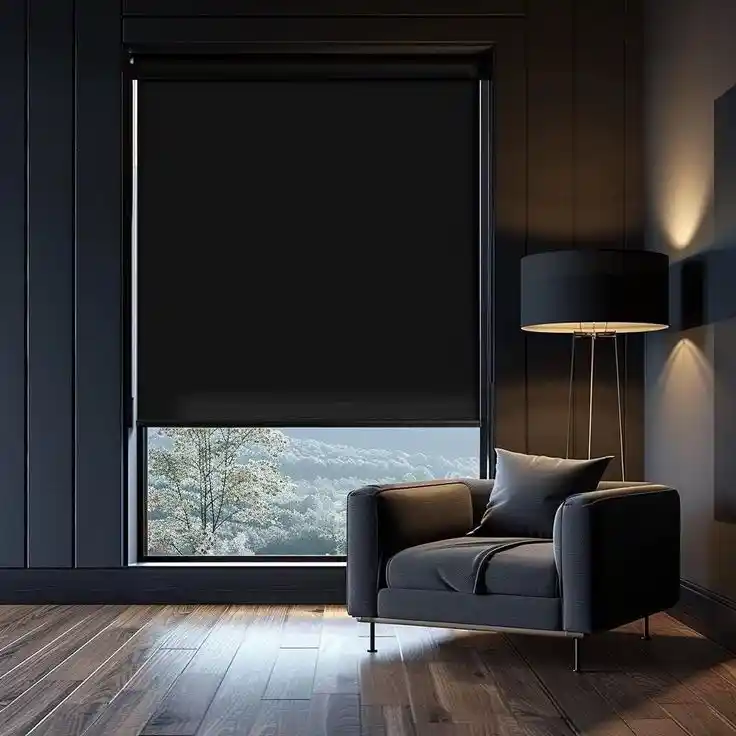 Blackout Blinds for Living Room