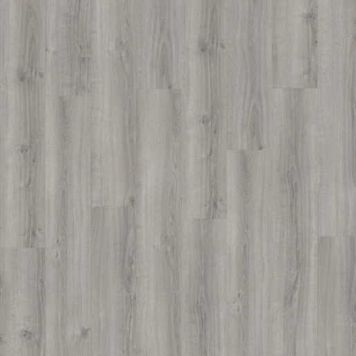 Cool Grey Oak SPC