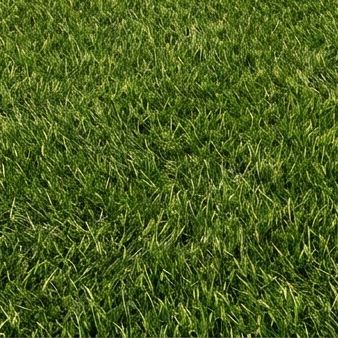 Natural Green Artificial Grass