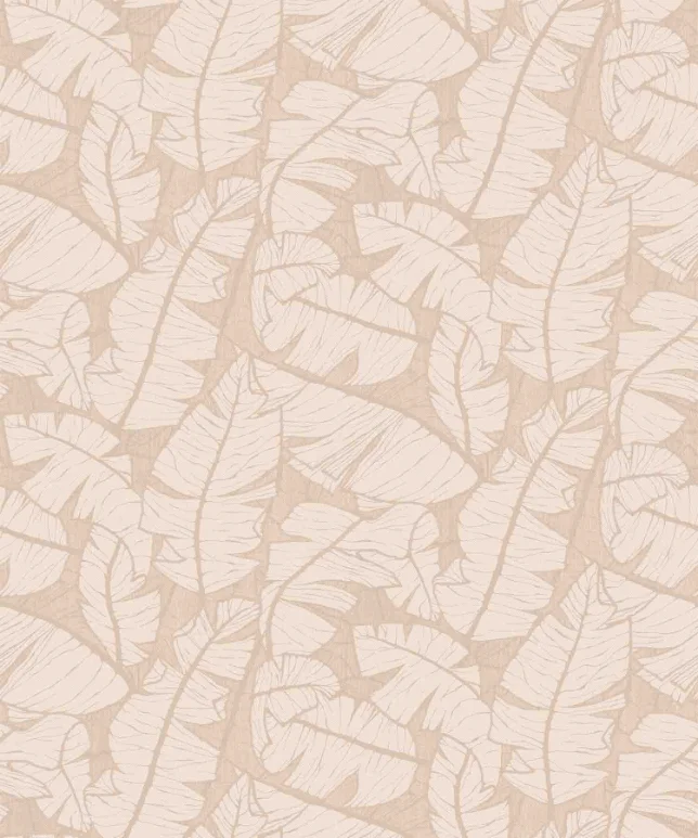Rosy Palm Whisper