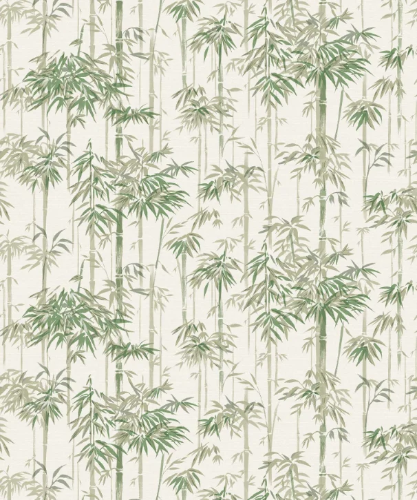 Green Bamboo Grove