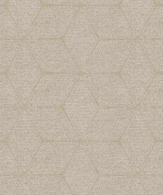 Greige Hexagon Wall