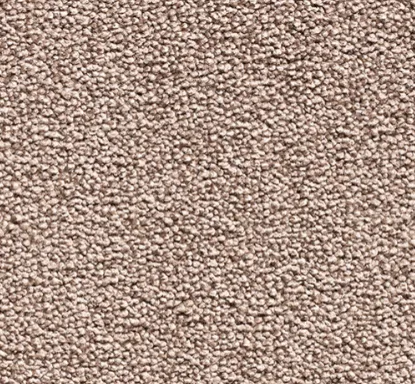 Earthy Loop Carpet