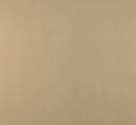 Sand Beige Carpet