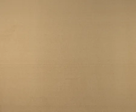 Honey Tan Carpet